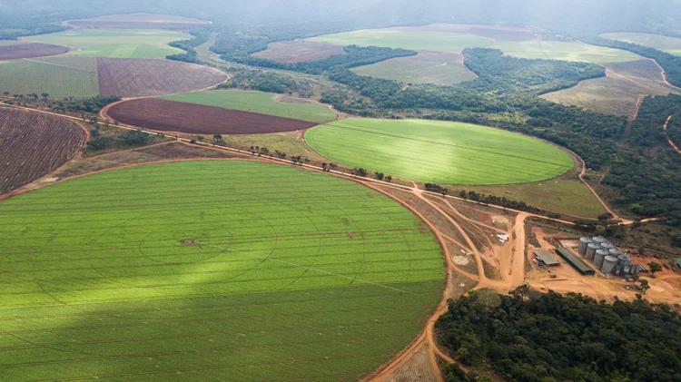 Farm Land