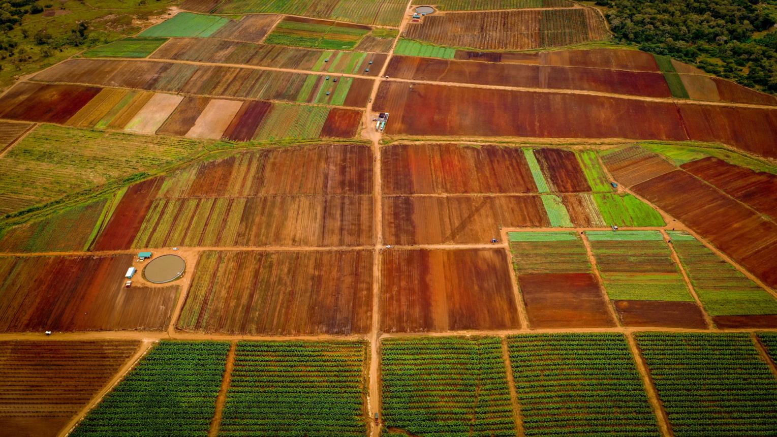 Farms